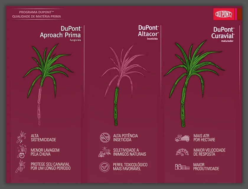 Apresentação Exemplo Produto Dupont