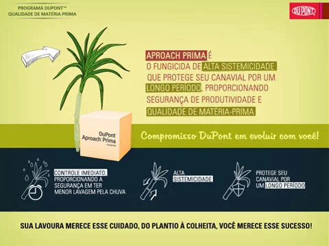 Apresentação: Programa qualidade na matéria prima